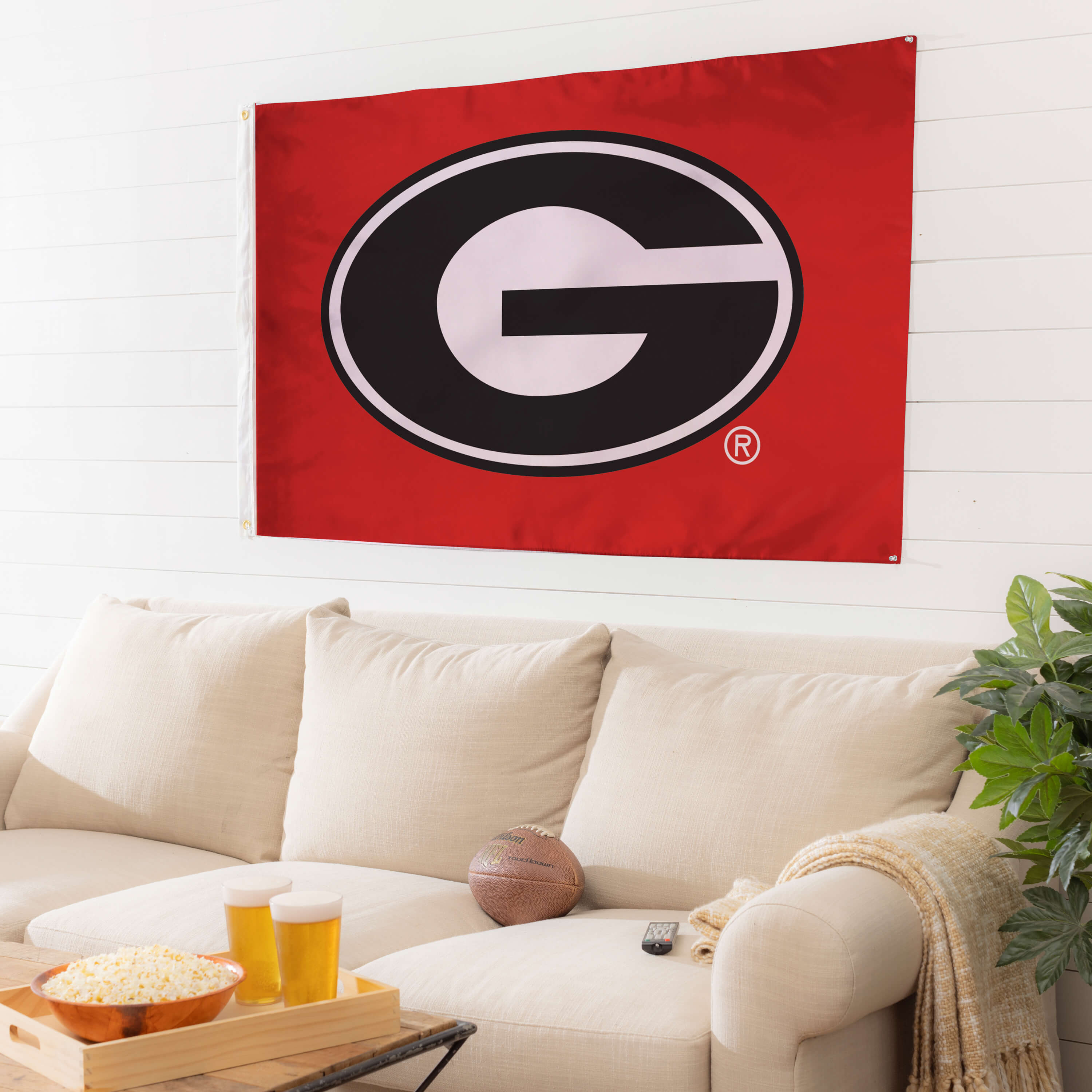 UGA Flag