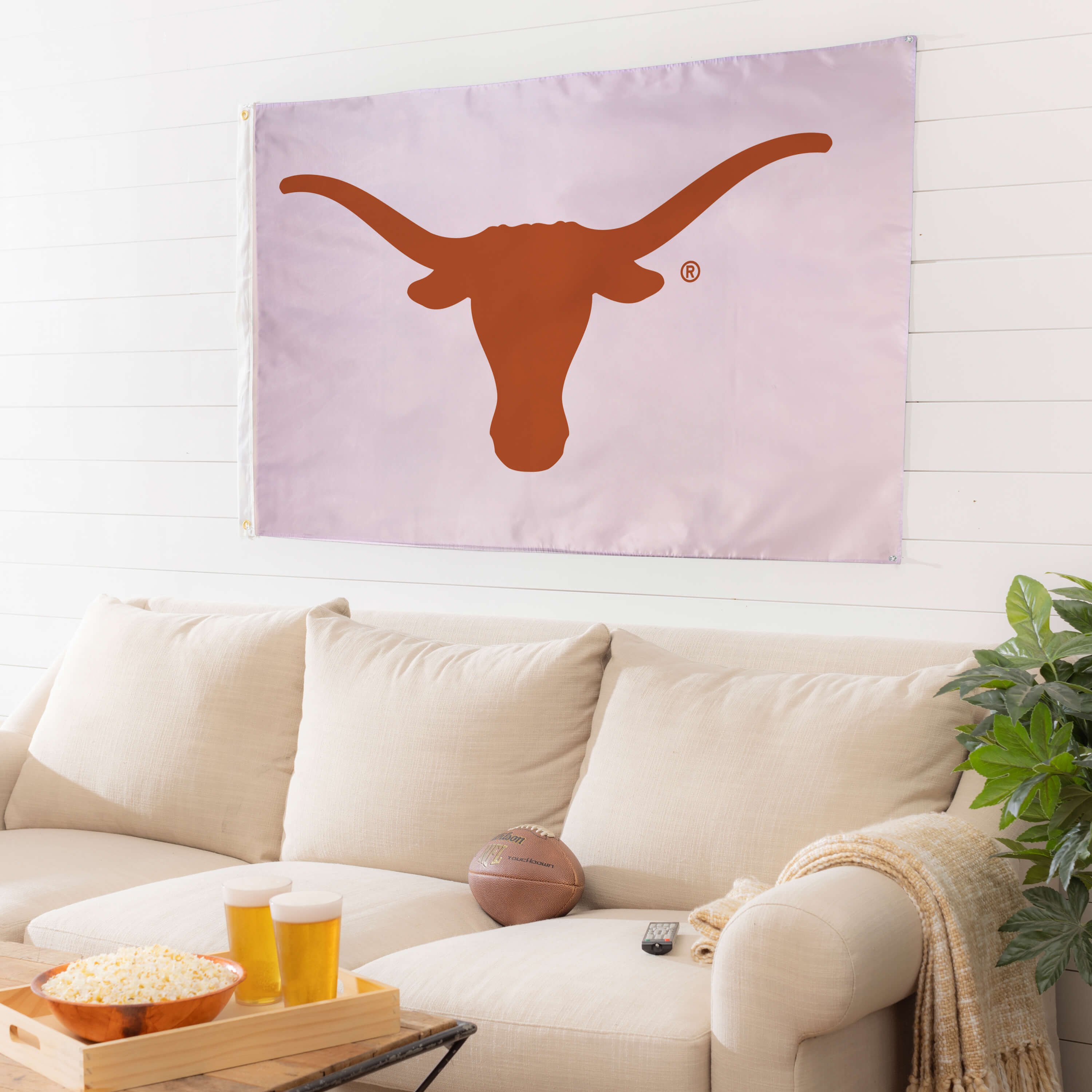 UT Austin Flag