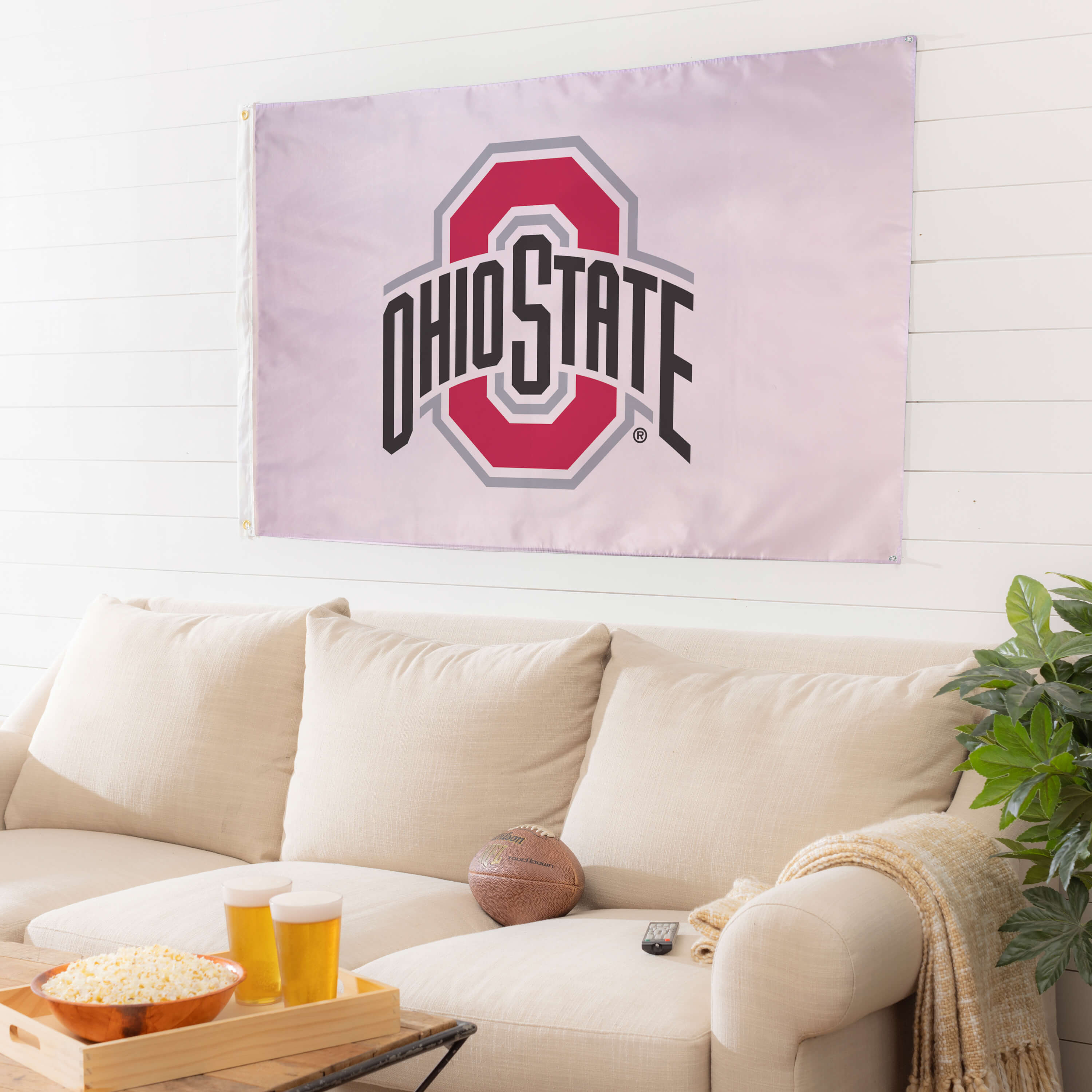 Ohio State Flag