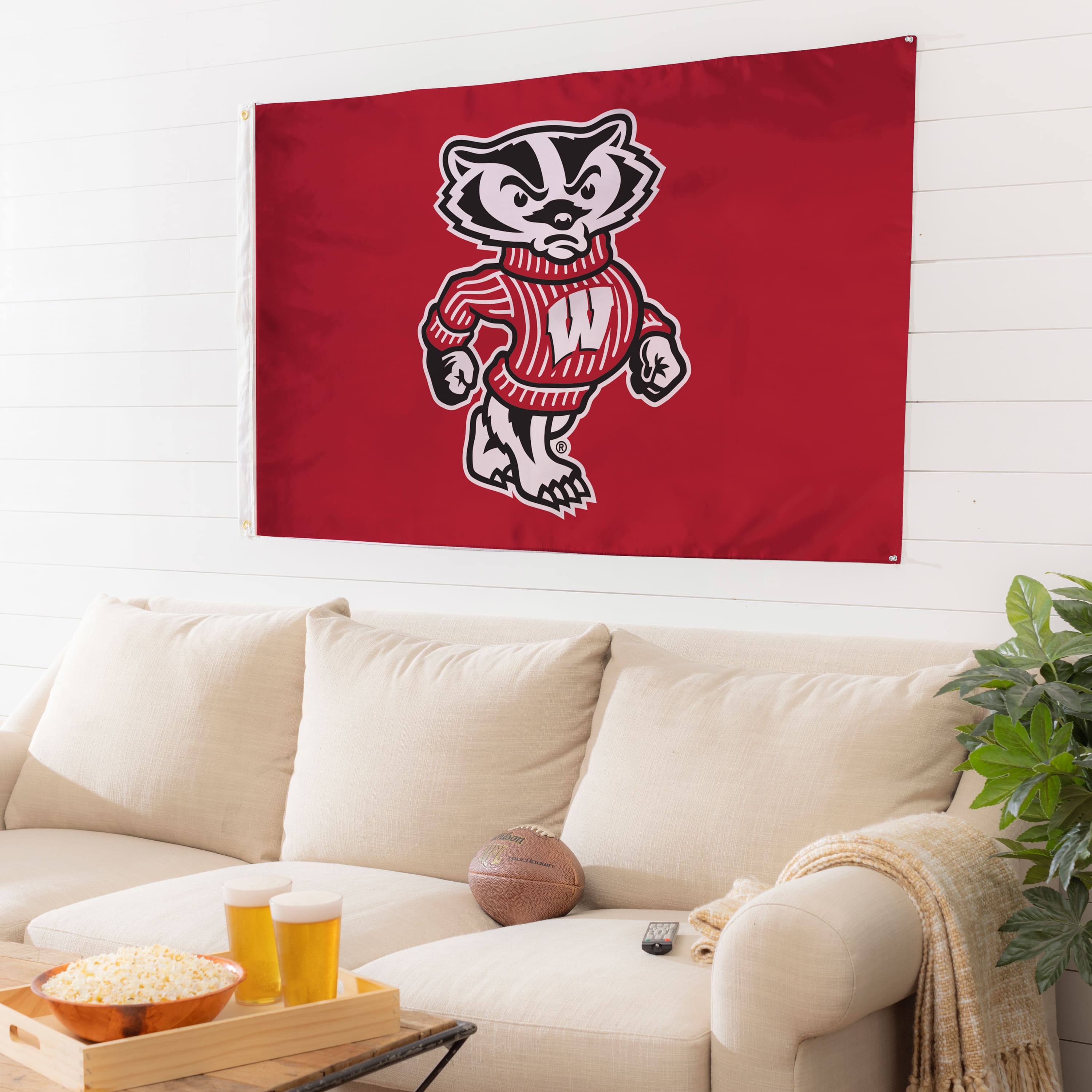 UW Madison Flag